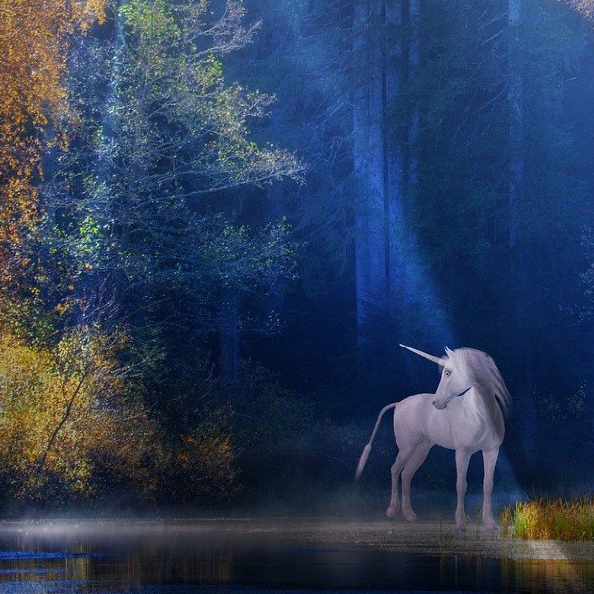 Vana Grimoire: Unicorn | Castlefest
