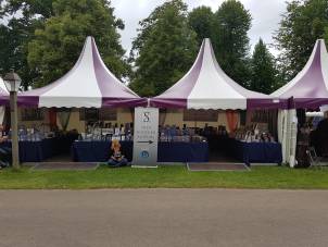 - foto-zilverspoor-op-castlefest.jpg