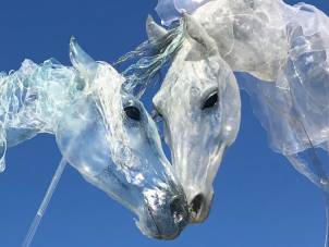 - cf25-website-foto-windhorses.jpg